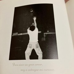 Southern All Stars 1990 Tour Brochure Photos Concert Pamphlet