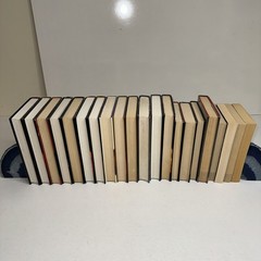 Left Behind Series – Complete Hardcover Set + 5 Extras (21) See Description