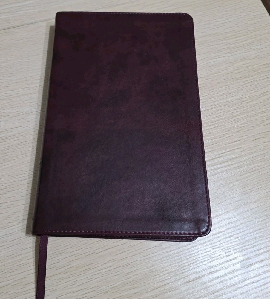 ESV Large Print Value Thinline Bible (TruTone, Mahogany, Border Design) by…