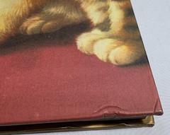 Images of The Cat by Nigel Cawthorne, 1999