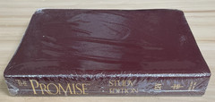 The Promise Holy Bible Study Edition 3595BG CEV Burgandy Bonded Leather New