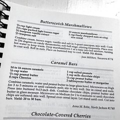 The Pennsylvania State Grange Cookbook 1993 Spiral Bound 432 Pages