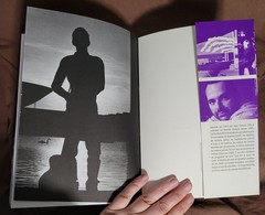 Renato Russo: O Filho da Revoluçao – Carlos Marcelo – Brazilian musician