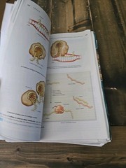 Biology 5th Edition by Robert J. Brooker (Spiral Binder Pages)