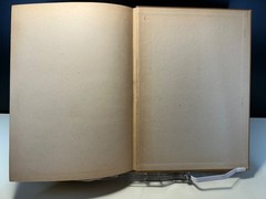 When Democracy Builds by F.L. Wright, University of Chicago, 1945 first, good