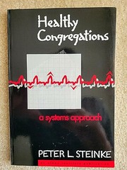 Healthy Congregations: A Systems Approach by Peter L. Steinke (Paperback, 1996)