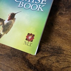 The NLT Bible Promise Book; Softcove- 1414369840, Ronald A Beers, paperback,