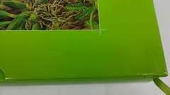 The 19th World Orchid Conference in Miami FL – 2008 (Hardcover Book) 504 Pages