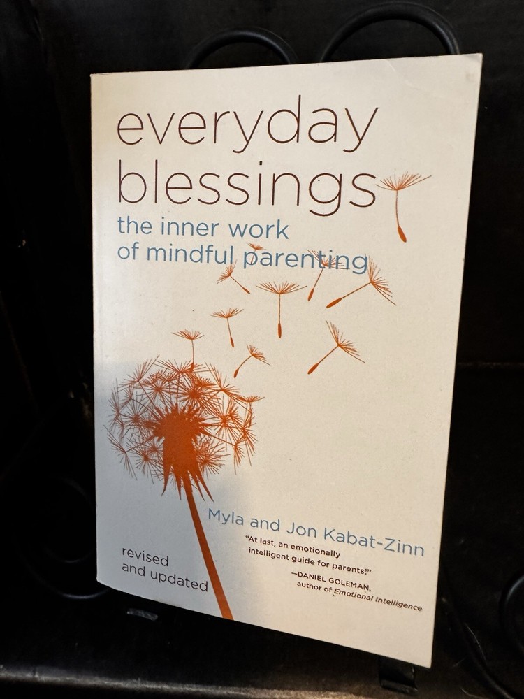 Myla Kabat-Zinn Jon Kabat-Zinn Everyday Blessings (Paperback)