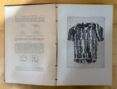 Bureau of American Ethnology – Eskimo About Bering Strait – Nelson 1899