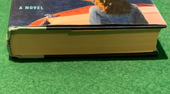 The View From Lake Como by Adriana Trigiani SIGNED 1st/1st HC DJ 2025 Romance