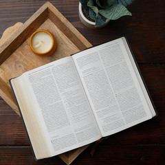 NABRE, New American Bible, Revised Edition, Catholic Bible, Large Print Edition,