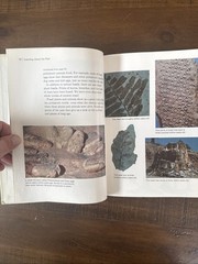 1976 Prehistoric Animals Childcraft Annual Book Hardcover Child Educational