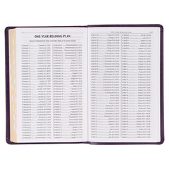 KJV Holy Bible, Standard Size Faux Leather Red Letter Edition Thumb Index & Ribb