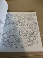 New Seasons Calm Coloring Adult Stress Relief Activity Book