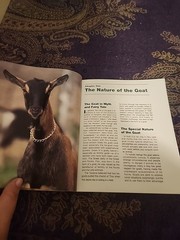 The Goat Handbook:Purchase Housing Feeding Health Behavior 2006