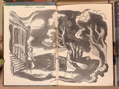 19 Dana Girls Mystery 1960’s Carolyn Keene Hardcover