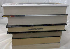 Other Worlds, Lot of 6, Dream Strider, Skyward, Dragon Daughter,Reign of Shadows