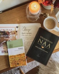 Bíblia de Estudo NAA Nova Almeida Atualizada preta nobre – portuguese ESV Bible