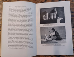 Vintage 1921 First-Year Edition: Westward Hoboes by Winifred Hawkridge Dixon