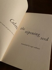 Colette The Ripening Seed Vintage Paperback, Noonday Press 1955 Translated