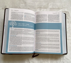NIV Student Bible Leathersoft Cover Lay Flat Maps Yancey Stafford Reading Plans