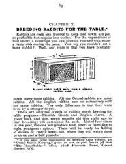 War Time Gardening How To Grow Your Own Food „1915” 62 Pages