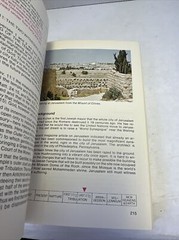 Revelation Visualization Verse By Verse King James Version Book 1971