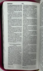 Biblia Chequera Letra 8.5 puntos RV1960 imit piel rosa fucsia gris claro con …