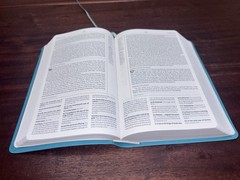 ESV Reformation Study Bible, Condensed Ed., Turquois (Leather Bound