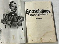 Lot of 14 Vintage RL Stine Books – Fear Street Goosebumps Paperbacks Horror READ