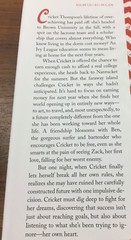 NEW Nantucket Red, by Leila Howland, 2014, hardcover, 280 pages