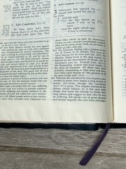 ✝️ The Ryrie Study Bible NASB New American Standard Genuine Leather Moody Press