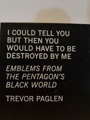 I Could Tell You but Then You Would Have be Destroyed by Me by Paglin Like New