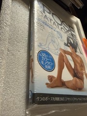 New Pose Catalog 2: Basic Poses for Men