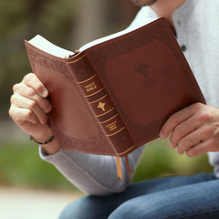 NABRE, New American Bible, Revised Edition, Catholic Bible, Large Print Edition,