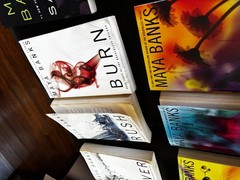 Multiple Trilogy’s Book Lot, Dark Romance