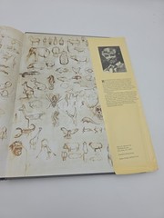 NOAH’S ARK Animal Art by Rien Poortvliet Netherlands 1986