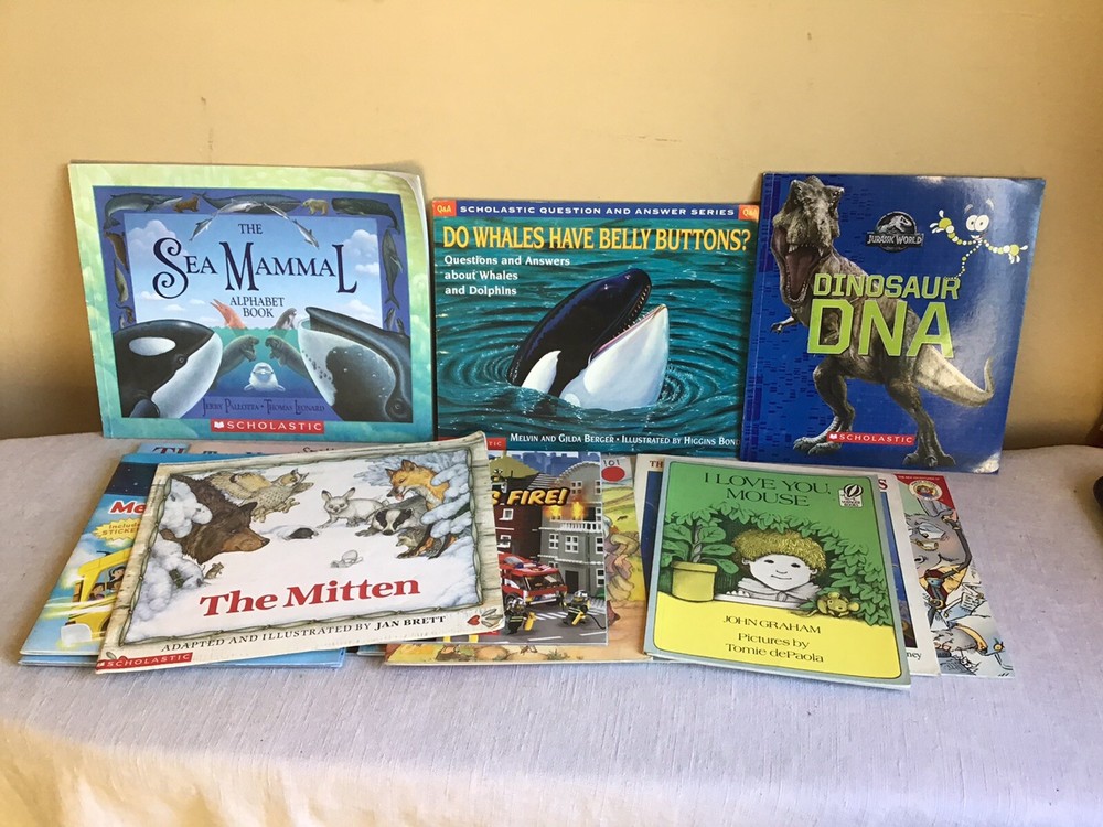 Mixed Lot Of 15 SC Childrens Illustrated Picture Books Teacher Classroom Set