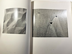 Water’s Edge INSCRIBED by Harry Callahan 1st Edition Hardcover/Dustcover VG+