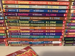 Lot Of 60 Goosebumps Books by RL Stine Mixed Editions And Prints Book Series