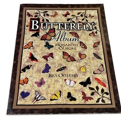 Quilter’s Lot 9 books Guides Design Patterns Techniques Scrap French Braid Quilt