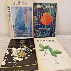 Lot 4 Books Wildflowers & Plants By Different Authors