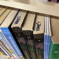 Lot of 25 Children’s Kids Chapter Books – Random – Free Shipping!