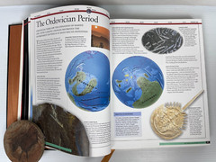 RARE „The Illustrated Encyclopedia of the Prehistoric World” 512 Pgs 9 X 11.5″