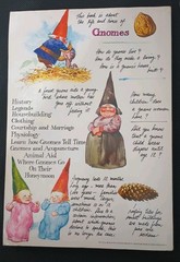 Vintage Gnomes Text by Wil Huygen Illustrations Rein Pouvrtvliet Paperbound