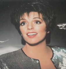 LIZA MINNELLI 12 x 12 PICTURE Booklet / REVIEW of MOVIES & SHOWS & FAMILY
