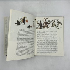 James Fisher & Roger Tory Peterson’s WORLD OF BIRDS Revised HC Cream DJ 192