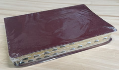 The Promise Holy Bible Study Edition 3595BG CEV Burgandy Bonded Leather New