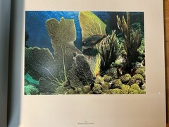 St. John U.S.V.I. Living Art Simonsen 2003 SIGNED Caribbean Photography 2nd Ed.